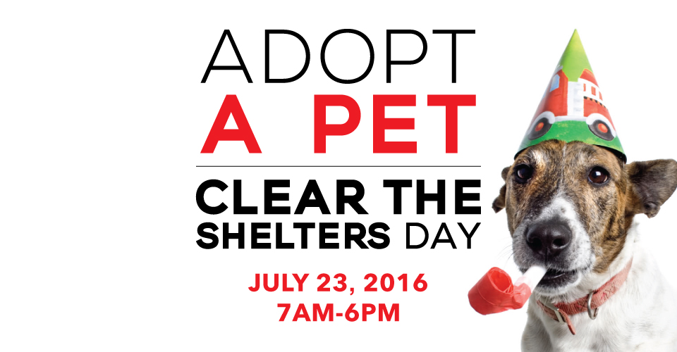 Clear the Shelters