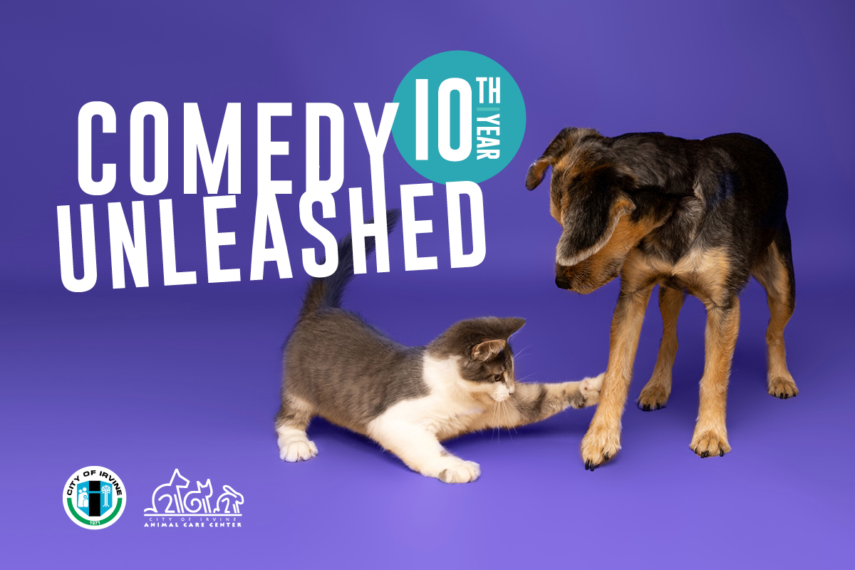 Comedy Unleashed 10th Year graphic with a playful kitten swatting at a dog.