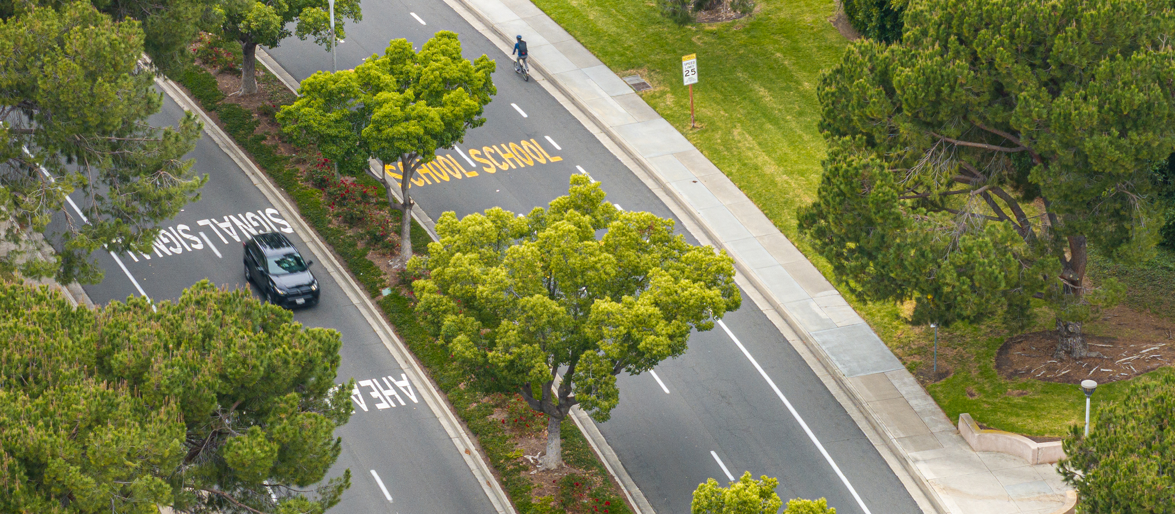 Aerial view of a dark gray car on a road, lush green trees, and a person walking on a sidewalk.Virtual Community Workshop: Campus Drive Project 