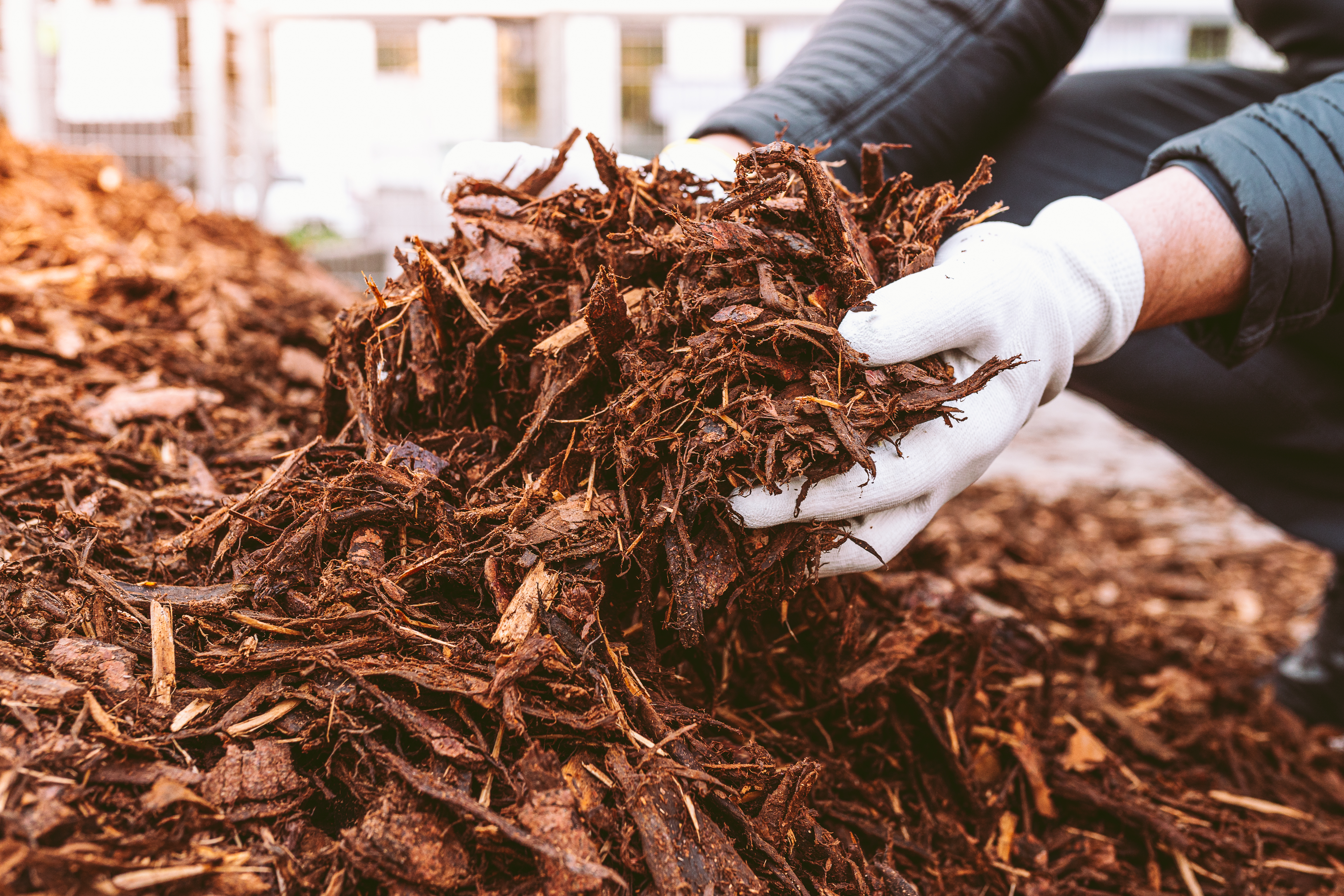 Hands picking up compost.