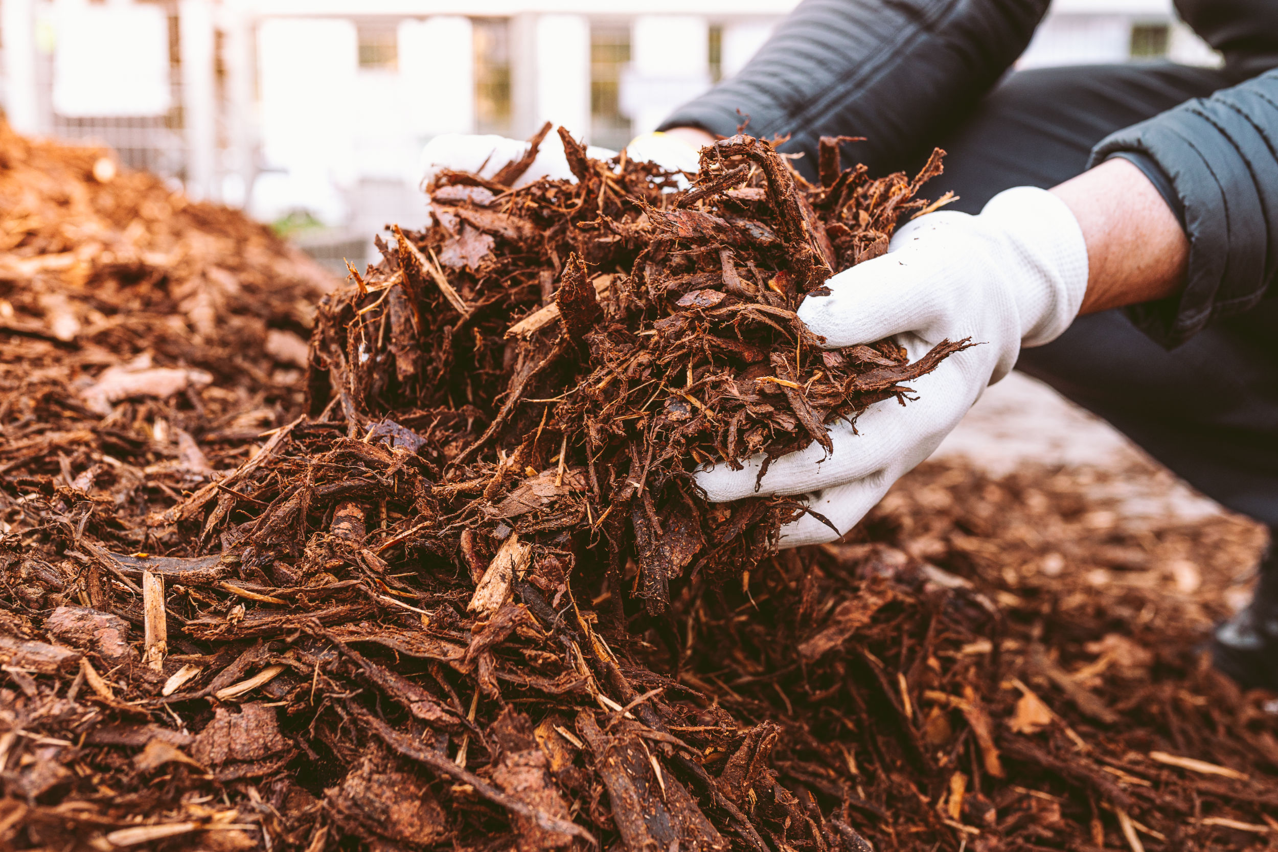 Hands picking up compost