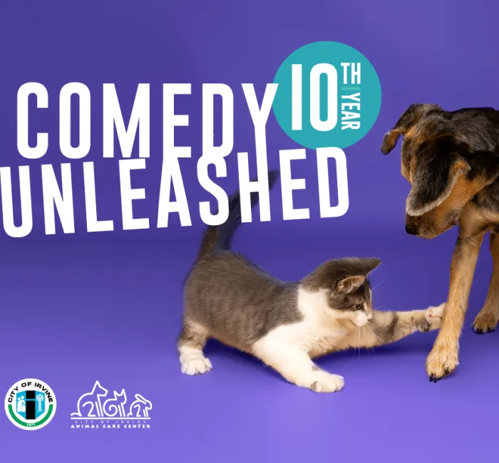 Graphic: Kitten bats at dog's paw. Text: Comedy Unleashed 10th Year.