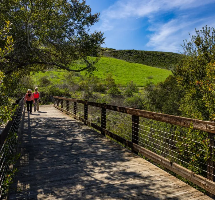 Two people walk on a bridge at Bommer Canyon. The bridge is surrounded by green trees and grassy hills are in the background.