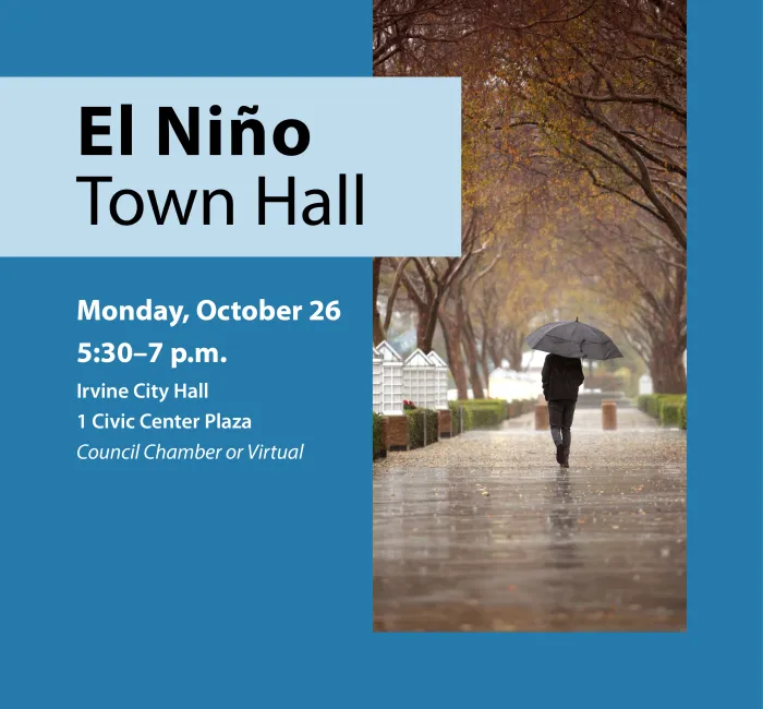 Graphic of a person with an umbrella walking on a wet path lined with autumn trees.