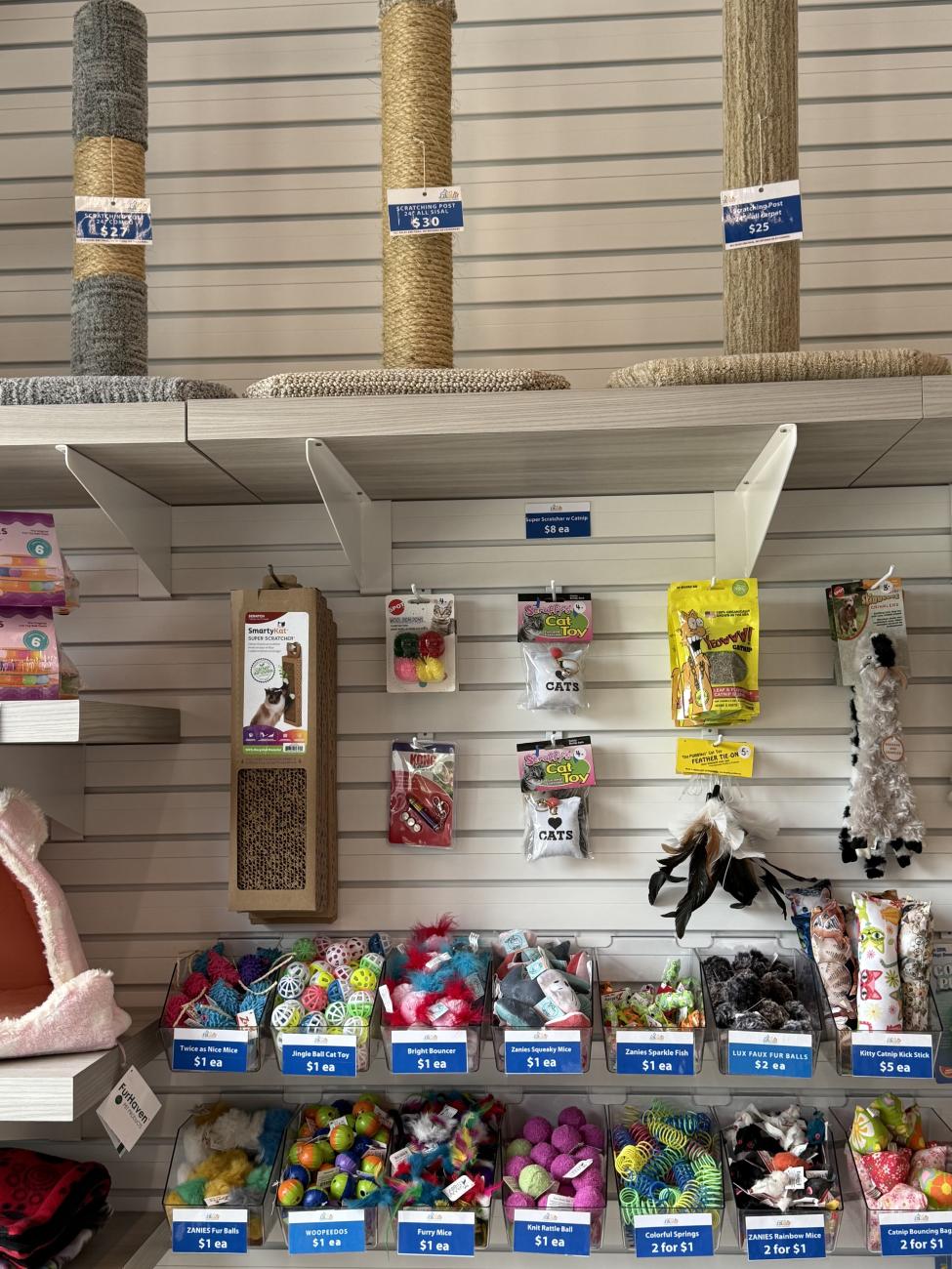 Pet store aisle displays cat scratching posts, packaged treats, and colorful toys.