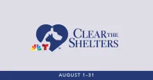 clear the shelters