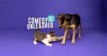 Kitten playfully swatting a dog's paw on a purple background.