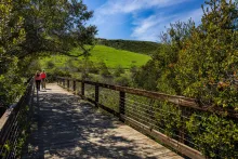 Two people walk on a bridge at Bommer Canyon. The bridge is surrounded by green trees and grassy hills are in the background.