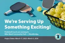 Pickleball paddles and balls