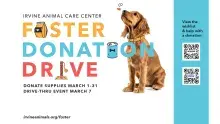 graphic with dog and foster donation drive text and details to donate