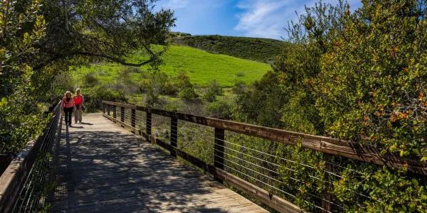 Two people walk on a bridge at Bommer Canyon. The bridge is surrounded by green trees and grassy hills are in the background.