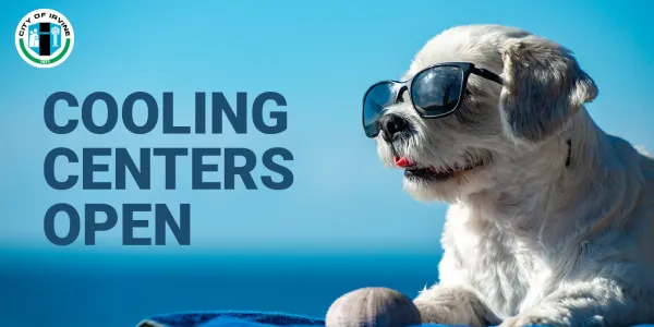 Photograph: White dog in sunglasses on a blue background. Text: Cooling Centers Open