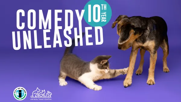 Graphic: Kitten bats at dog's paw. Text: Comedy Unleashed 10th Year.