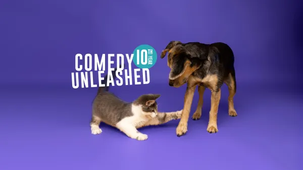 Kitten playfully swatting a dog's paw on a purple background.