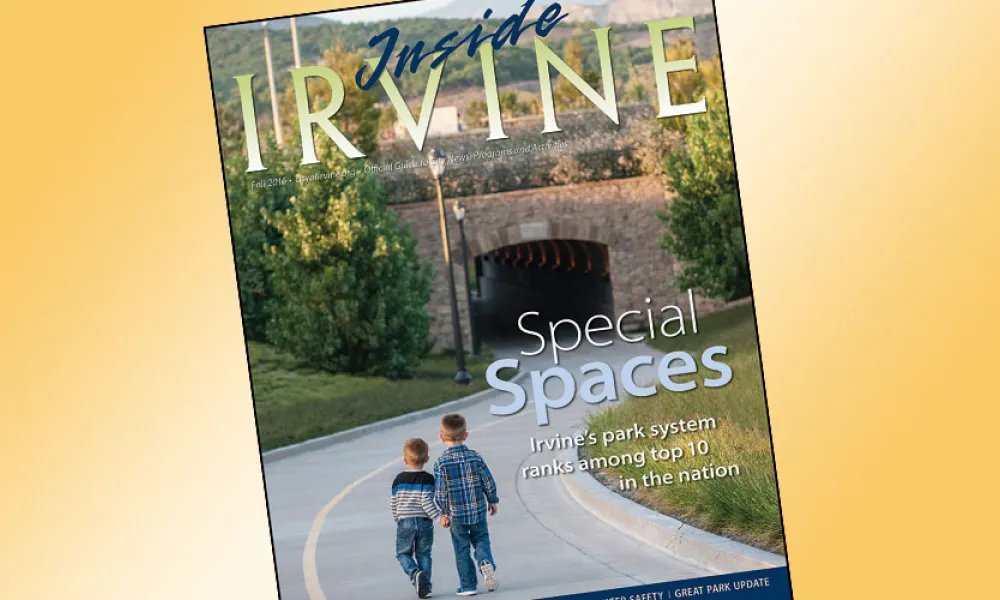 Fall Inside Irvine