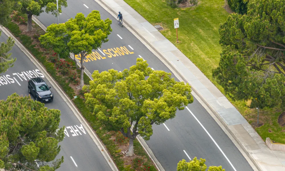 Aerial view of a dark gray car on a road, lush green trees, and a person walking on a sidewalk.Virtual Community Workshop: Campus Drive Project 