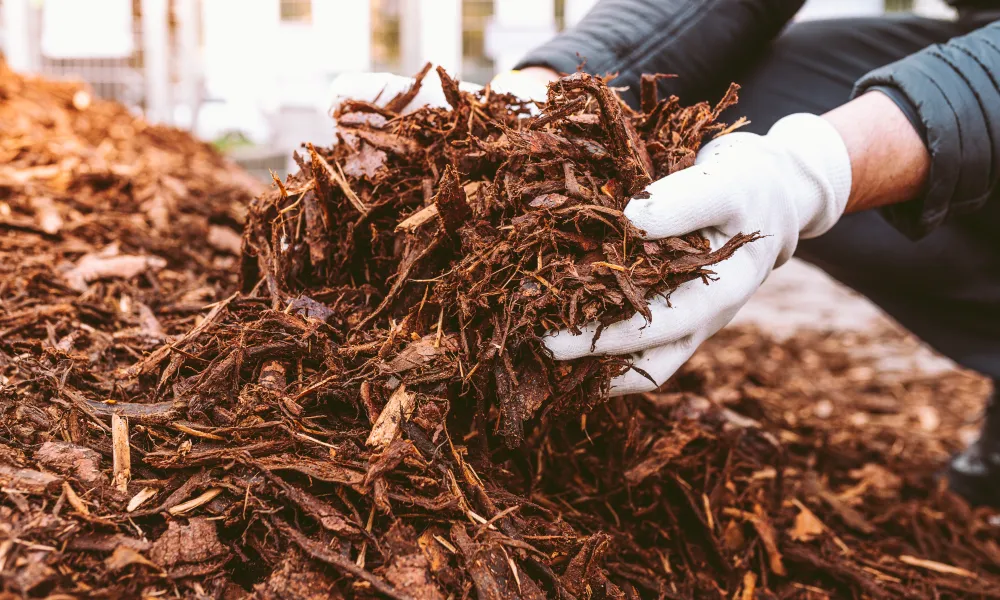 Hands picking up compost.