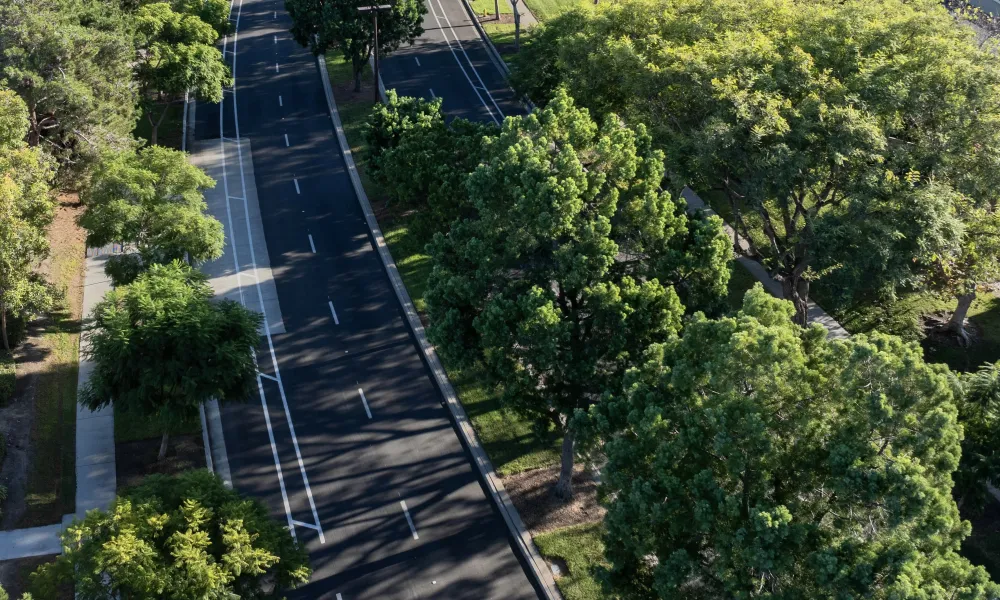 Aerial view of an empty road lined with lush green trees and sidewalks on a sunny day.
