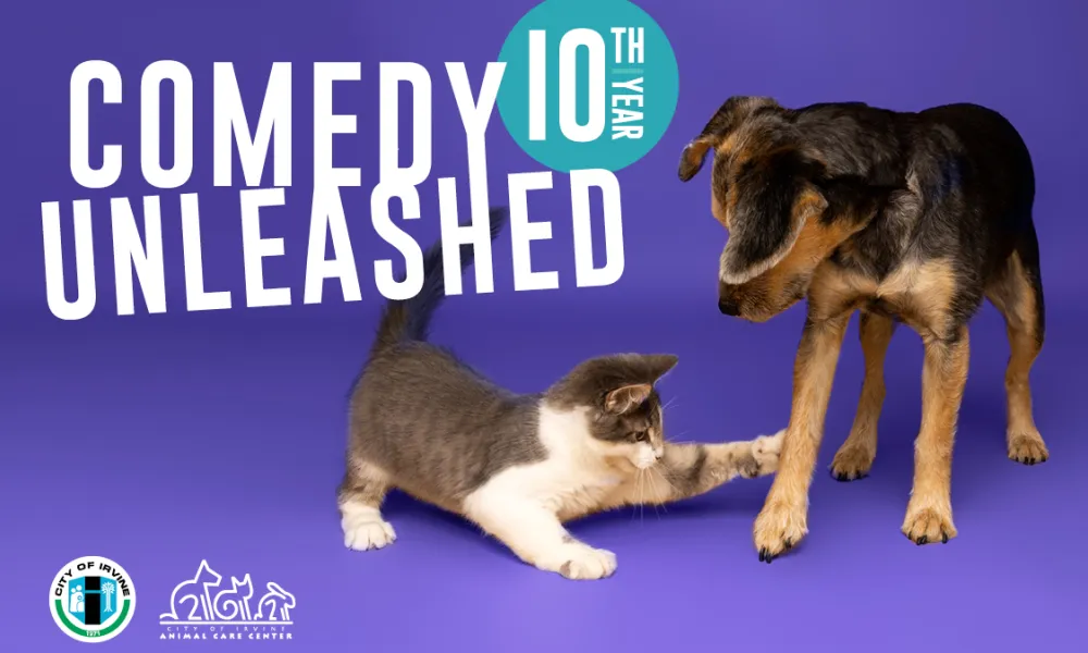 Graphic: Kitten bats at dog's paw. Text: Comedy Unleashed 10th Year.