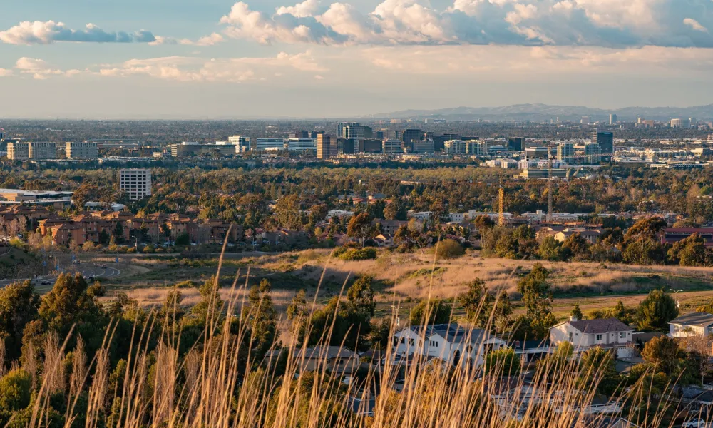City skyline and suburbs from a grassy hill at golden hour.