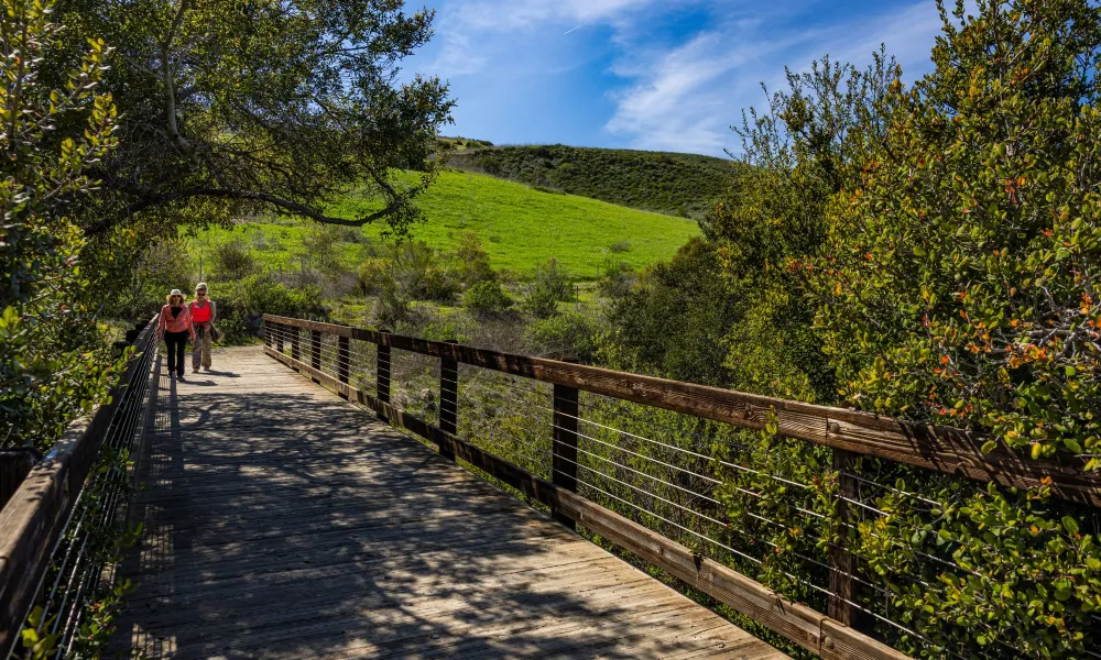 Two people walk on a bridge at Bommer Canyon. The bridge is surrounded by green trees and grassy hills are in the background.