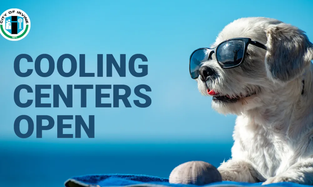 Photograph: White dog in sunglasses on a blue background. Text: Cooling Centers Open