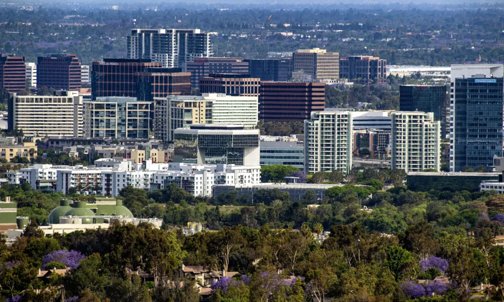 Photograph: Modern city skyline with many office buildings, green trees, and purple flowers.