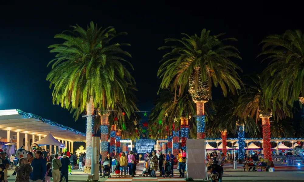 Palm Court Lights