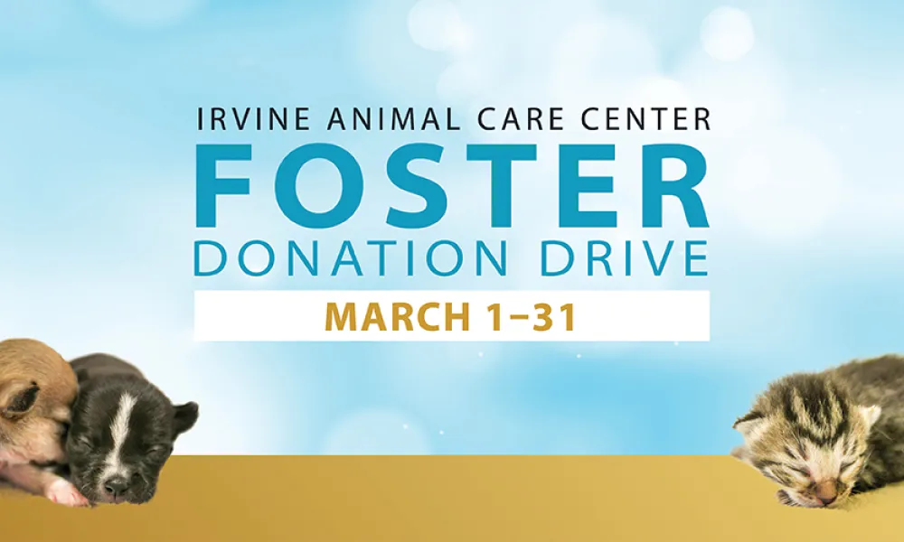 Irvine Animal Care Center Annual Foster Donation Drive Begins March 1 ...