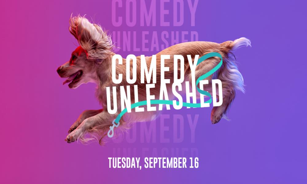 Graphic featuring an energetic brown dog running over "Comedy Unleashed" text on a purple gradient.