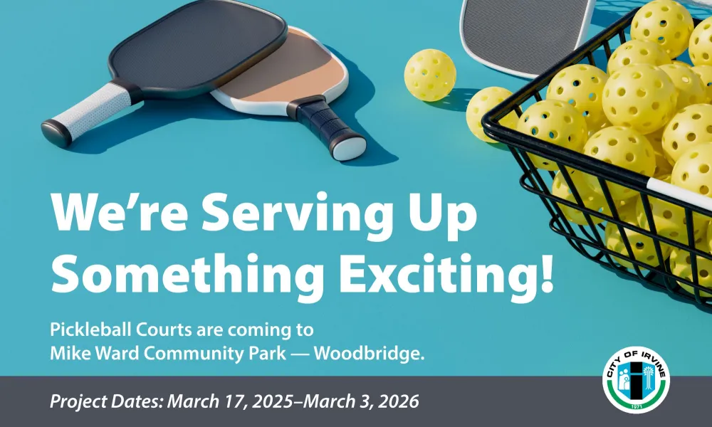 Pickleball paddles and balls