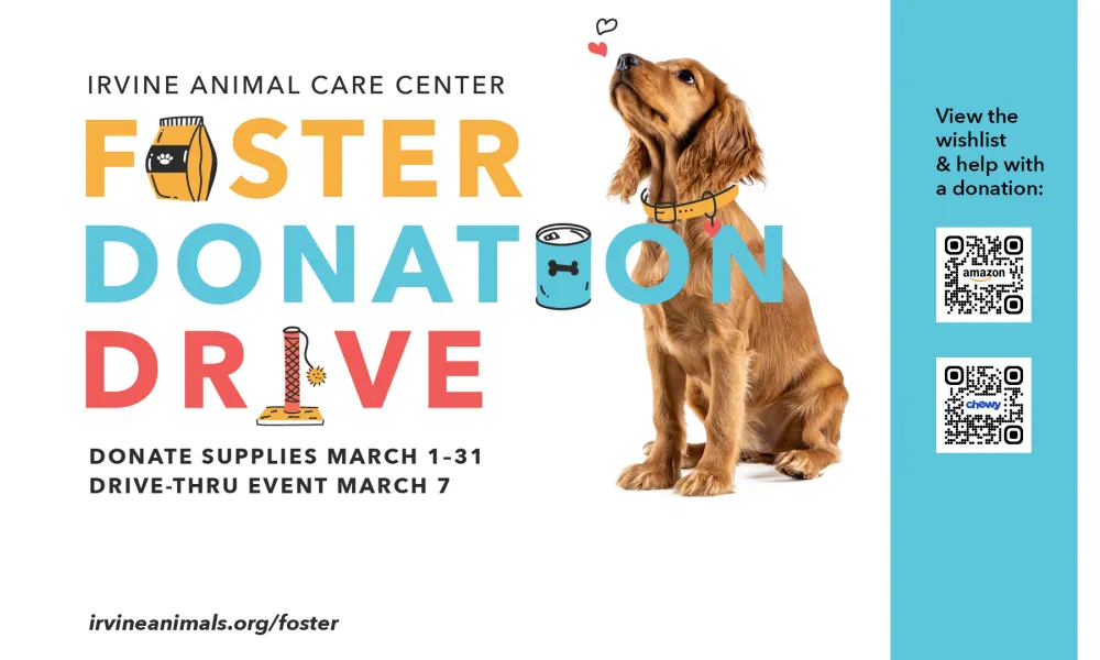 graphic with dog and foster donation drive text and details to donate