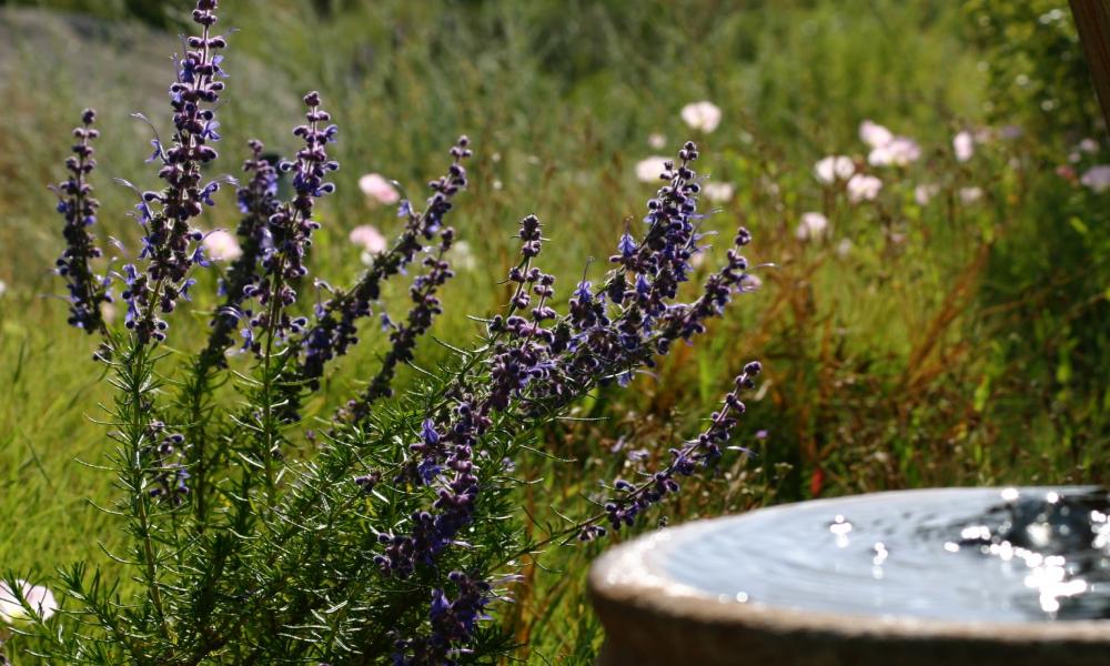 Garden Workshops