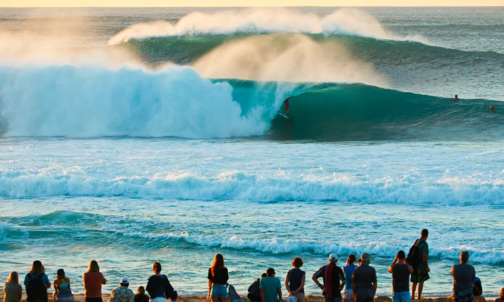 Surfing with Tom Carey 