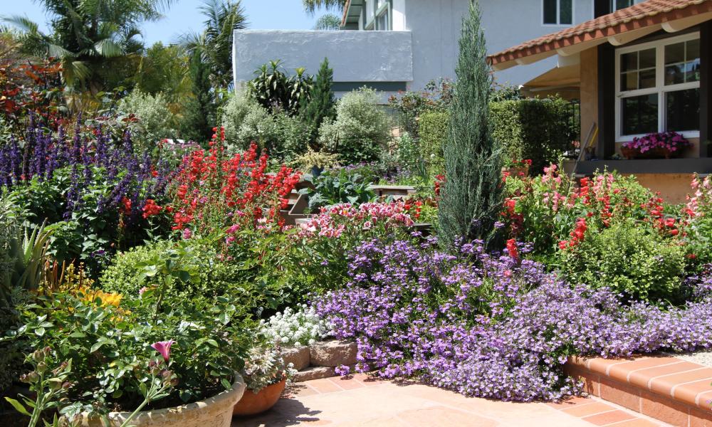 Garden Workshops