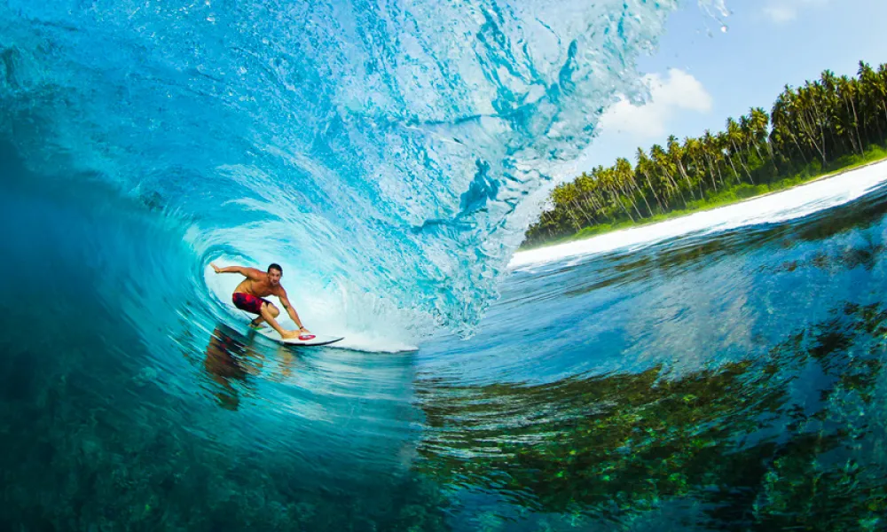 Surfing with Tom Carey Exhibition