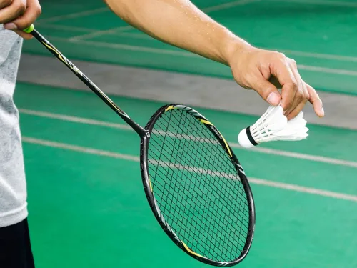 Hands holding a badminton racket and a shuttlecock above a green court.