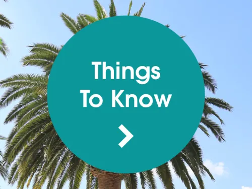 "Things To Know" button over palm trees and blue sky.
