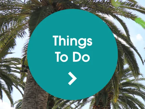 "Things To Do" button over palm trees and blue sky.