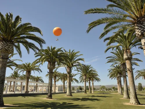 Orange hot air balloon floats above a sunny park with tall palm trees.