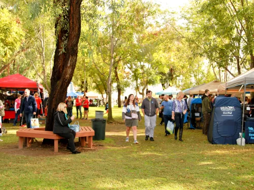 Outdoor market in a park with many people browsing vendor tents under trees.