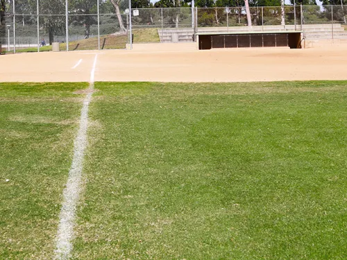 Field Conditions