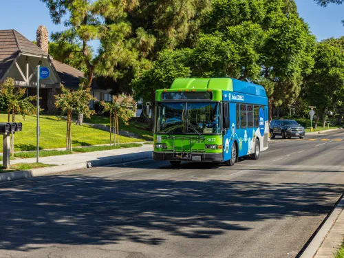 Blue and green city bus on a tree-lined street.
