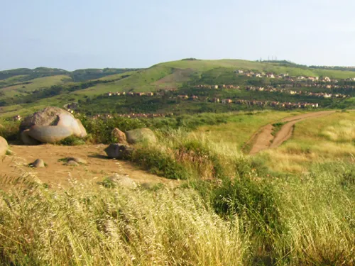 Open Space Permits