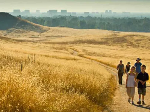 group walking through open space