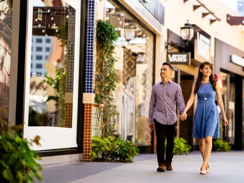 shopping couple 