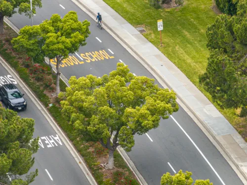 Aerial view of a dark gray car on a road, lush green trees, and a person walking on a sidewalk.Virtual Community Workshop: Campus Drive Project 