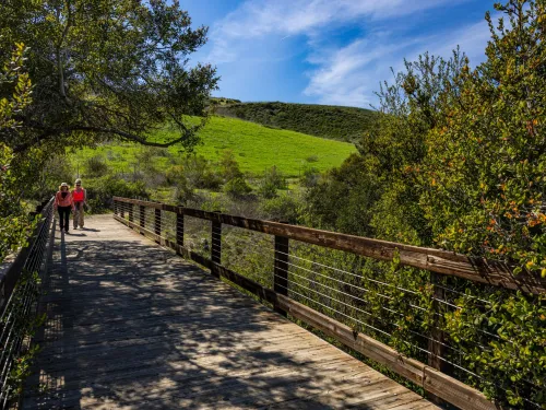 Two people walk on a bridge at Bommer Canyon. The bridge is surrounded by green trees and grassy hills are in the background.