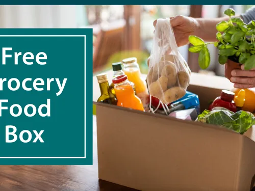 Hands placing fresh produce and various groceries into a brown cardboard box.