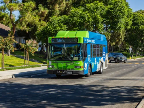 Blue and green city bus on a tree-lined street.